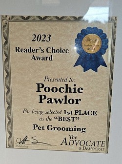 1ST Place Best Dog Groom8ng Business since 2014
