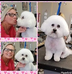 Sweet Casper