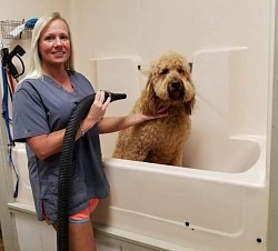 Leslie & Stan Sharp( this sweet boy has passed over to the Rainbow Bridge)