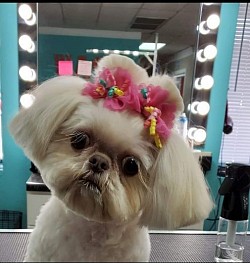 Who could say no to that face? Sweet Piper Grace
