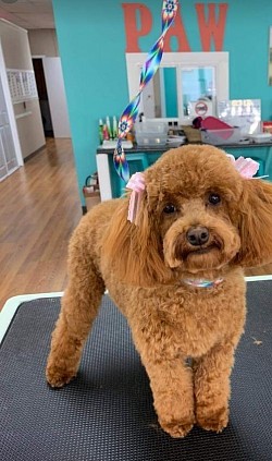 When you know you are a cutie